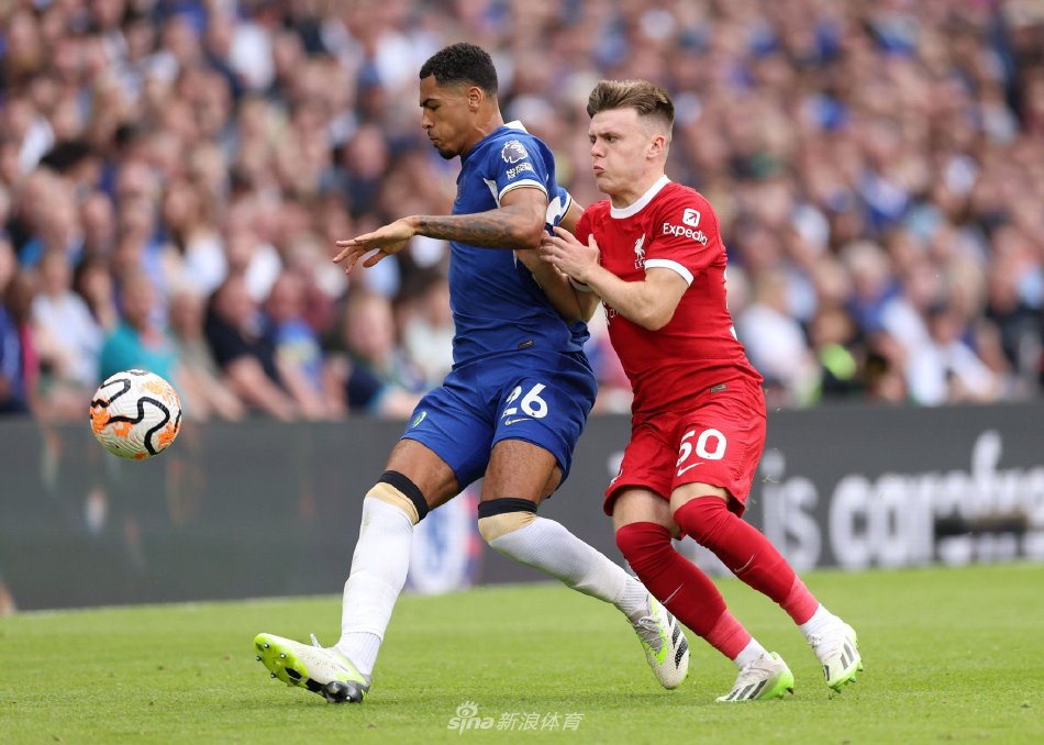 顺其自然 顺其自然