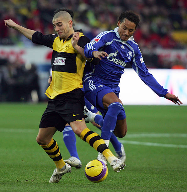 被全面地呈 被全面地呈